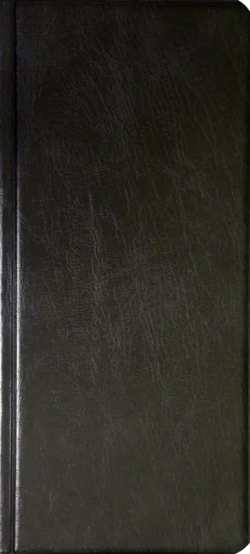 Визитница переносная, 96 визиток, черная (2380-01) Визитница переносная, 96 визиток, черная (2380-01) обложка книги