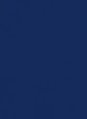 Тетрадь общая (96 листов, A4, клетка), бумвинил (1511767) обложка книги