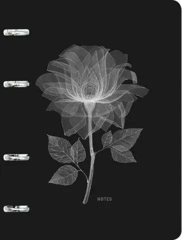 Тетрадь на кольцах (120 листов, А5), Limited 7 (ПБЛ1204993) обложка книги