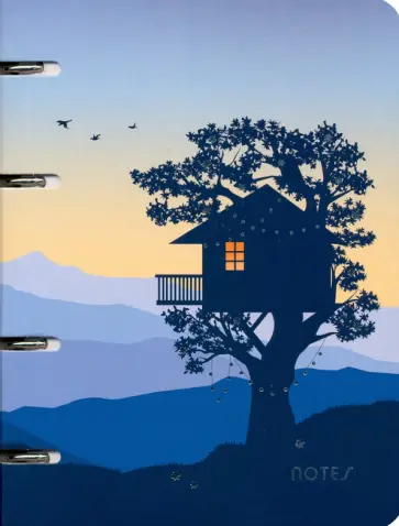 Тетрадь на кольцах (100 листов, А5, клетка), Adventure (ПБФ1004967) обложка книги