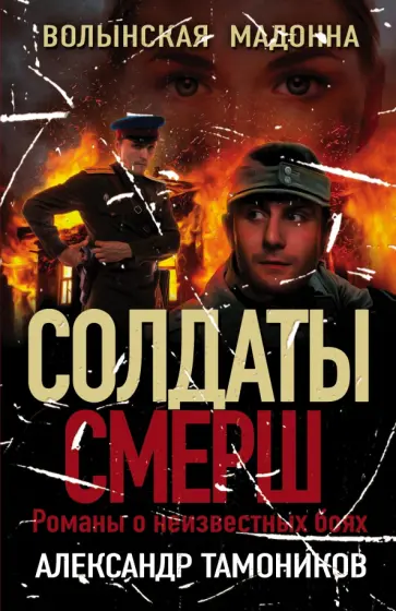 Александр Тамоников - Волынская мадонна обложка книги