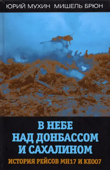 Мухин, Брюн - В небе над Донбассом и Сахалином. История рейсов МН17 и КЕ007 обложка книги