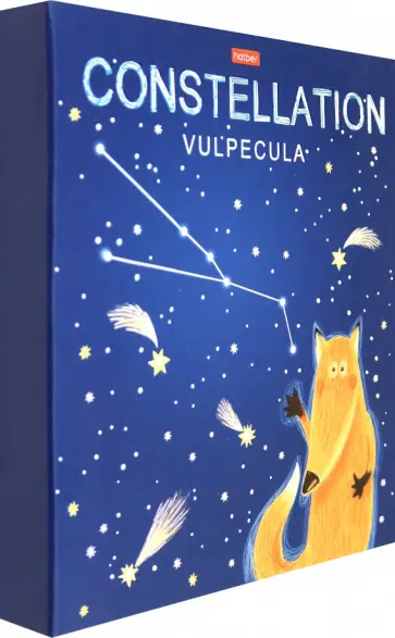 Папка Приходи считать звезды, А5, на 2-х кольцах обложка книги