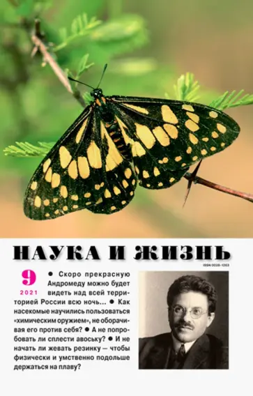 Журнал Наука и жизнь № 9. 2021 обложка книги
