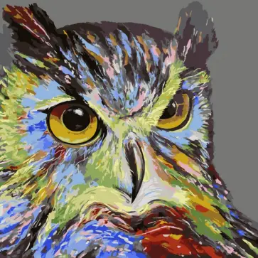 Картина по номерам. Сова обложка книги