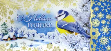 Конверт для денег С новым годом! обложка книги