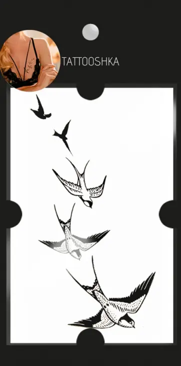 Тату временное малое, Полет ласточки обложка книги