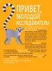 Миниатюра 3