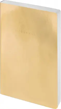 Ежедневник недатированный Golden mirror, А5, 136 листов обложка книги