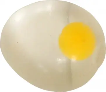 Лизун шмякса яйцо прозрачное обложка книги
