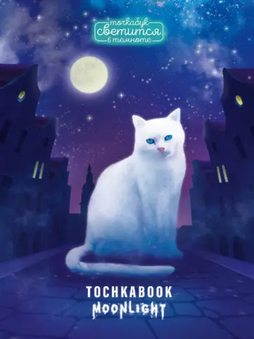 Точкабук. Кошка в ночном городе, 72 листа, А5 обложка книги