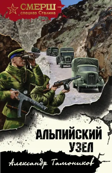 Александр Тамоников - Альпийский узел обложка книги