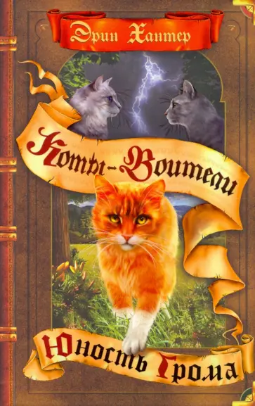 Эрин Хантер - Юность Грома обложка книги