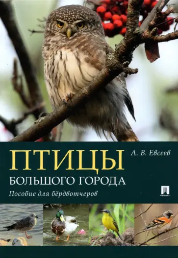 Антон Евсеев - Птицы большого города. Пособие для бёрдвотчеров обложка книги