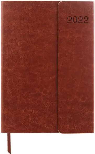 Ежедневник датированный на 2022 год, Magnetic коричневый, 168 листов, А5 обложка книги