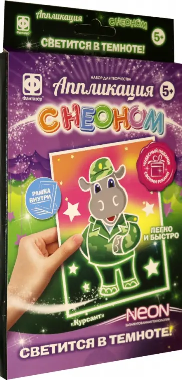 Аппликация с неоном. Курсант обложка книги