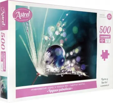 Пазл-500 Хрупкое равновесие обложка книги