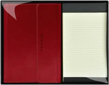 Ежедневник-органайзер недатированный + 2 блока, 96 листов, А5+, красный обложка книги