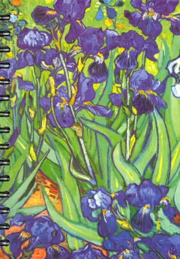 Скетчбук Ван Гог, Ирисы, 100 листов, А5 обложка книги