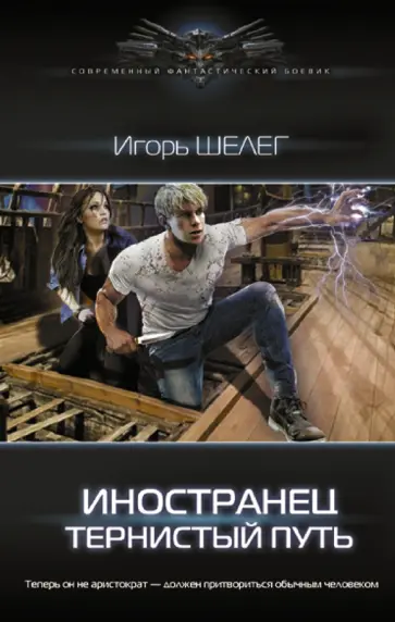 Игорь Шелег - Иностранец. Тернистый путь Игорь Шелег - Иностранец. Тернистый путь обложка книги