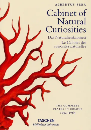 Albertus Seba - Seba. Cabinet of Natural Curiosities обложка книги