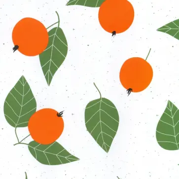 Бумага упаковочная Christmas fruits. Яблоки обложка книги