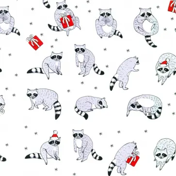 Бумага упаковочная Zoo Енот обложка книги