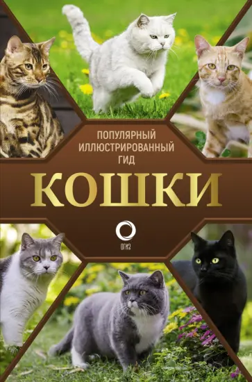 Николай Непомнящий - Кошки Николай Непомнящий - Кошки обложка книги
