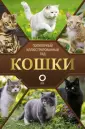 Популярный иллюстрированный гид