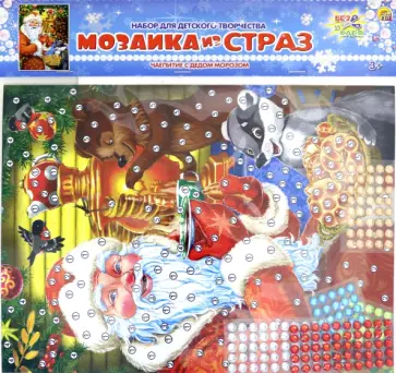 Мозаика из страз Чаепитие с Дедом Морозом обложка книги