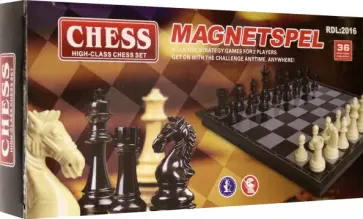 Шахматы на магните обложка книги