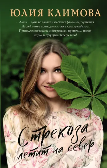 Юлия Климова - Стрекоза летит на север обложка книги