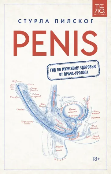 Стурла Пилског - Penis. Гид по мужскому здоровью от врача-уролога обложка книги