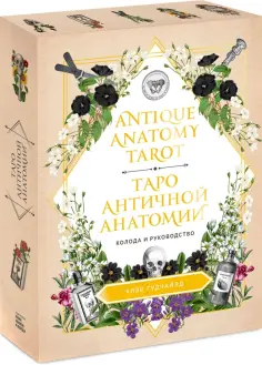 Клэр Гудчайлд - Antique Anatomy Tarot. Таро античной анатомии обложка книги