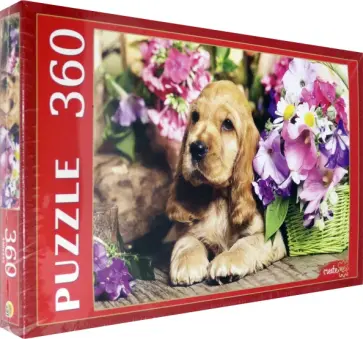 Puzzle-360. Прелестный спаниель обложка книги
