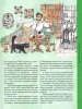 Миниатюра 3