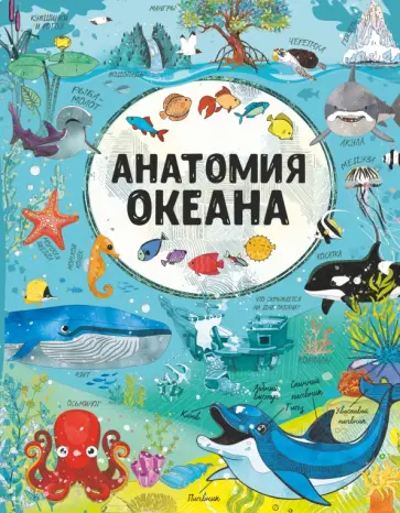 Барановская, Вайткене - Анатомия океана Барановская, Вайткене - Анатомия океана обложка книги