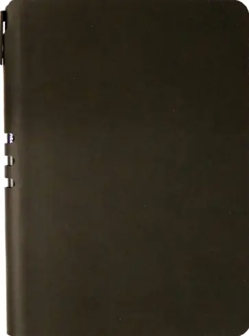 Ежедневник недатированный с ручкой, 128 листов, А5, черный обложка книги