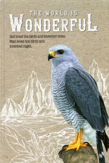 Блокнот Сокол, 64 листа, клетка, А5 Блокнот Сокол, 64 листа, клетка, А5 обложка книги