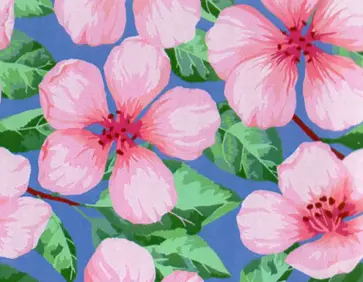 Холст с красками для рисования по номерам. Розовые вишневые цветочки обложка книги