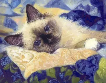 Картина по номерам Кот обложка книги