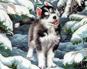 Картина по номерам. Собака обложка книги