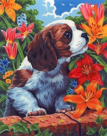 Картина по номерам Собачка обложка книги