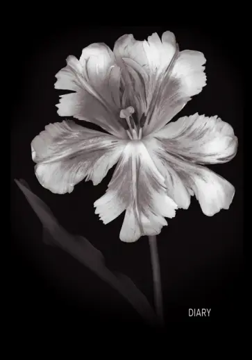 Ежедневник недатированный Цветочный акцент, 128 листов, А5 обложка книги