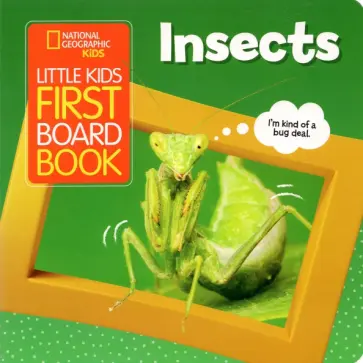 Ruth Musgrave - Little Kids First Board Book Insects обложка книги