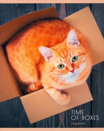 Тетрадь Мой котик, 80 листов, клетка, А5 обложка книги