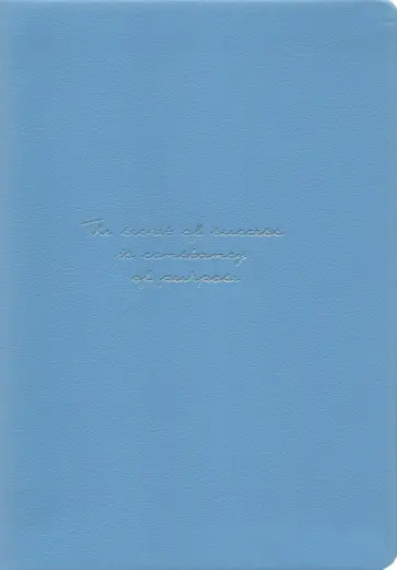 Ежедневник полудатированный Quote, А5, 160 листов, голубой обложка книги