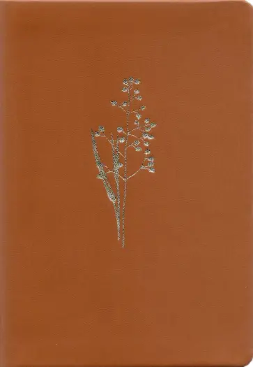 Ежедневник недатированный Sprig, А5, 160 листов, бежевый обложка книги