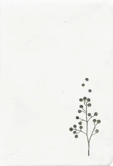 Ежедневник недатированный Sprig, 96 листов, белый обложка книги