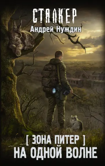Андрей Нуждин - Зона Питер. На одной волне обложка книги